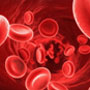 Platelet Rich Plasma Therapy